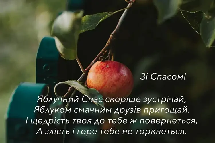 Яблучний Спас 2026: Чому Цей Серпневий День Змінює Все Та Як Привітати Рідних | MODISTA Яблучний Спас 2026: Чому Цей Серпневий День Змінює Все Та Як Привітати Рідних | MODISTA