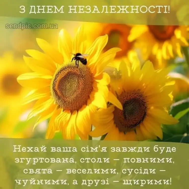 Красиві Патріотичні Привітання До Дня Незалежності України 2026: Зворушливі Слова У Прозі Та Листівки | MODISTA Красиві Патріотичні Привітання До Дня Незалежності України 2026: Зворушливі Слова У Прозі Та Листівки | MODISTA