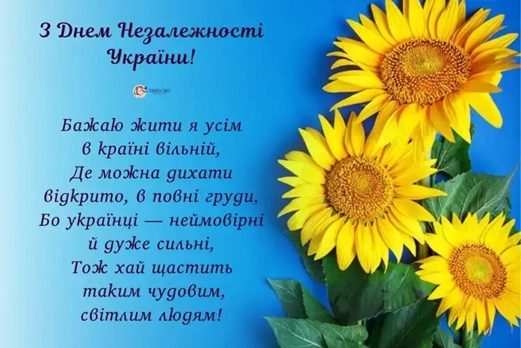 Красиві Патріотичні Привітання До Дня Незалежності України 2026: Зворушливі Слова У Прозі Та Листівки | MODISTA Красиві Патріотичні Привітання До Дня Незалежності України 2026: Зворушливі Слова У Прозі Та Листівки | MODISTA